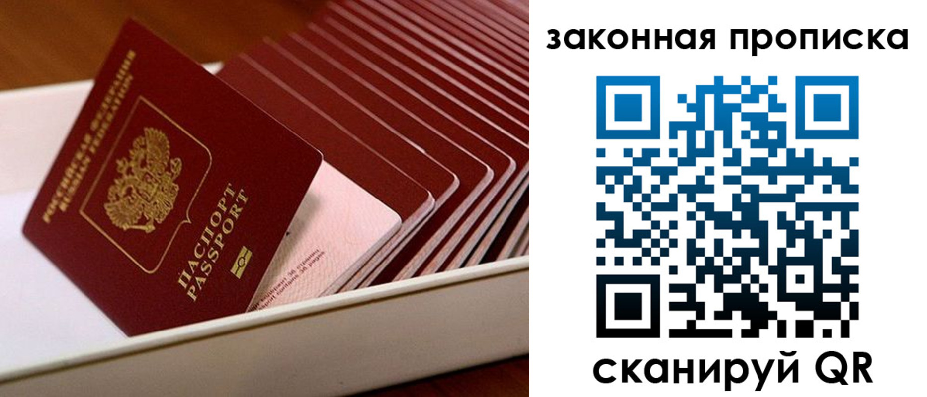 прописка ребенка в Сальске